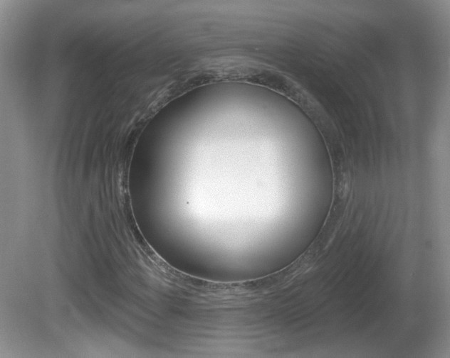 X0000082731108200701261048