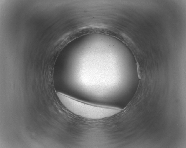 X0000082731110200701261048