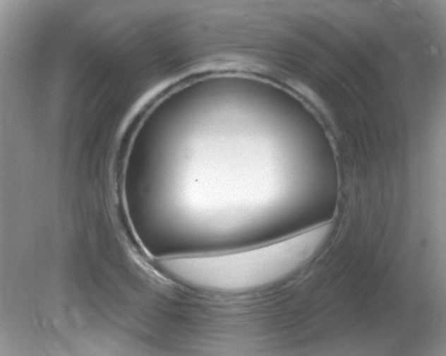 X0000082731120200701261048