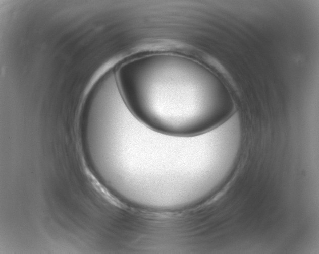 X0000082731122200701261048
