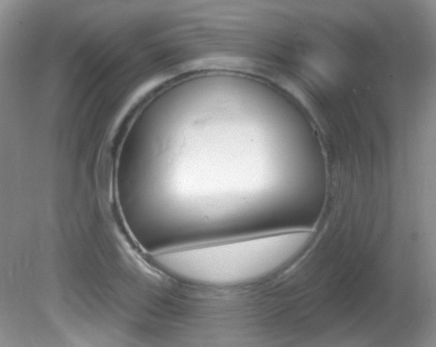 X0000082731123200701261049