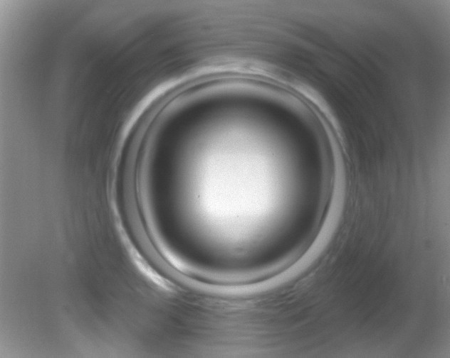 X0000082731136200701261049