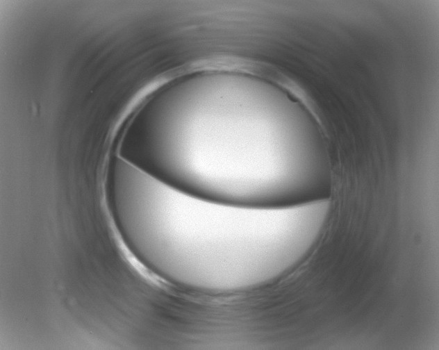 X0000082731139200701261049