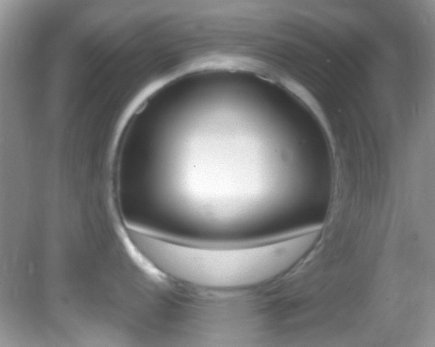 X0000082731152200701261049