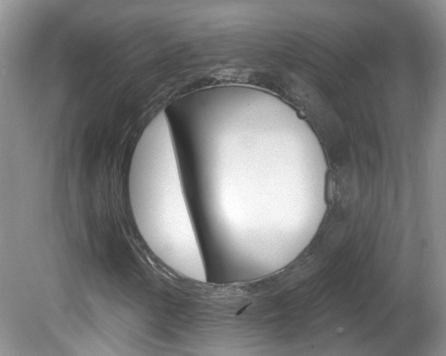 X0000082731154200701261048