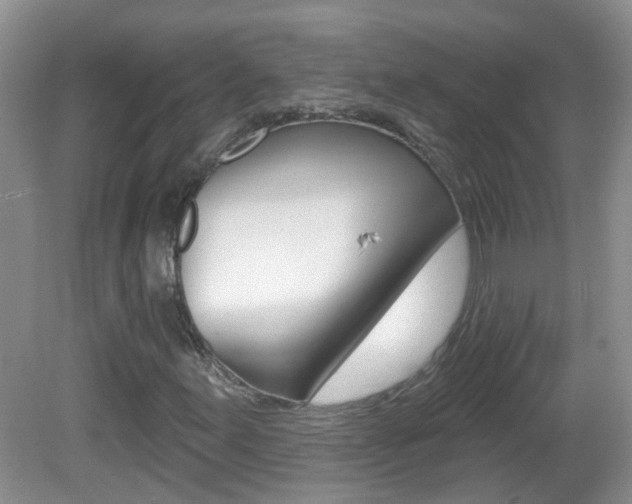X0000082731155200701261048
