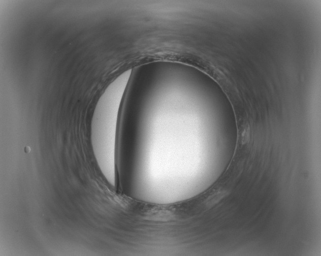 X0000082731156200701261048