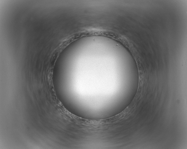 X0000082731157200701261048