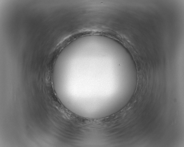 X0000082731158200701261048