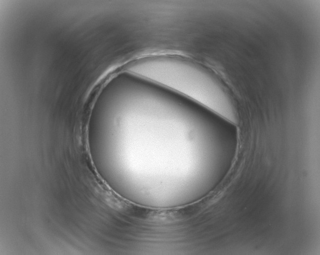 X0000082731165200701261048