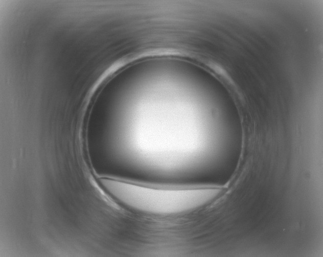 X0000082731181200701261048