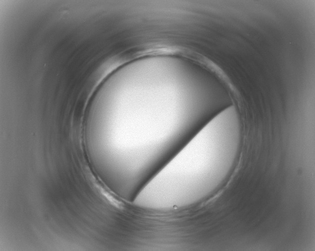 X0000082731186200701261048