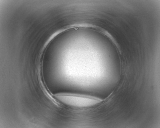 X0000082731187200701261048