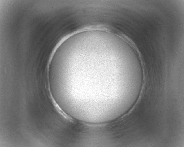 X0000082731200200701261047