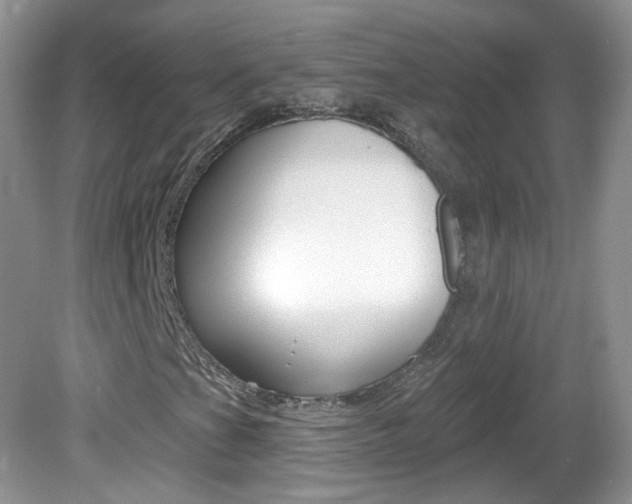 X0000082731201200701261047
