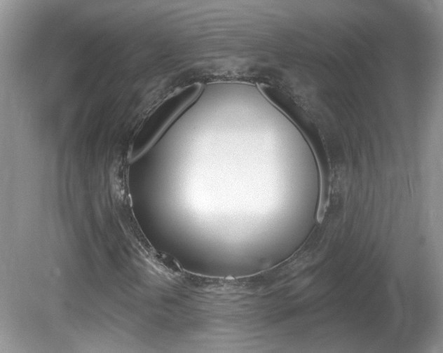 X0000082731202200701261047