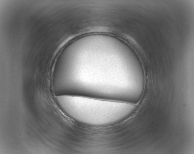 X0000082731212200701261047