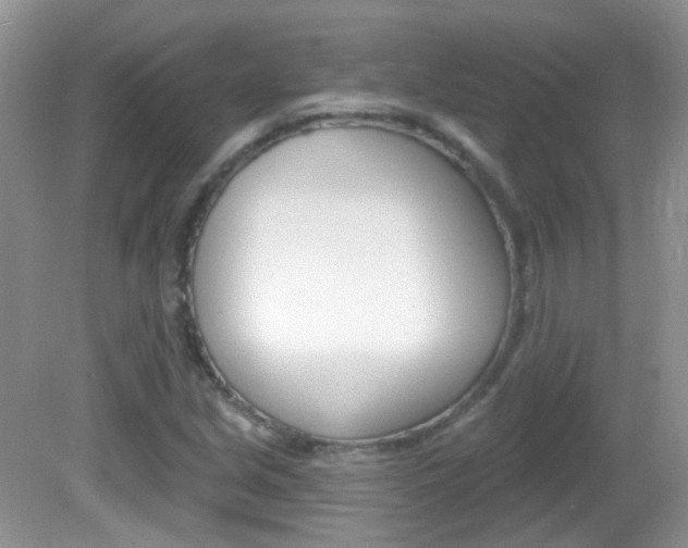 X0000082731213200701261047