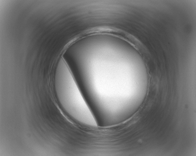 X0000082731225200701261047