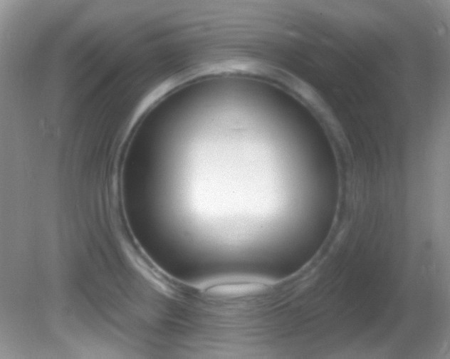 X0000082731234200701261047