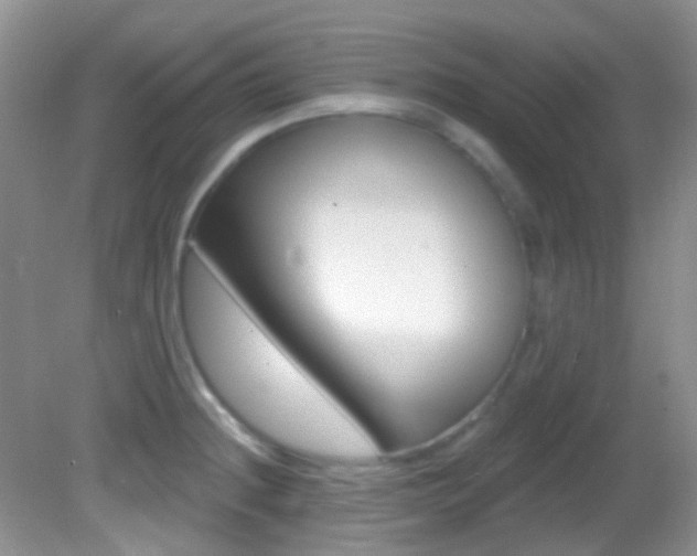 X0000082731236200701261047