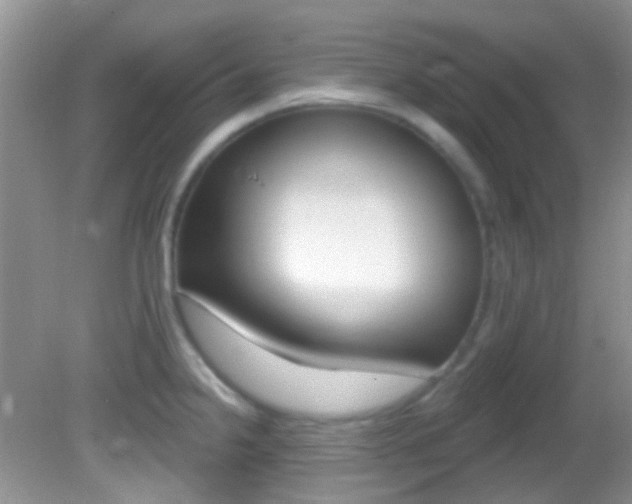 X0000082731238200701261047