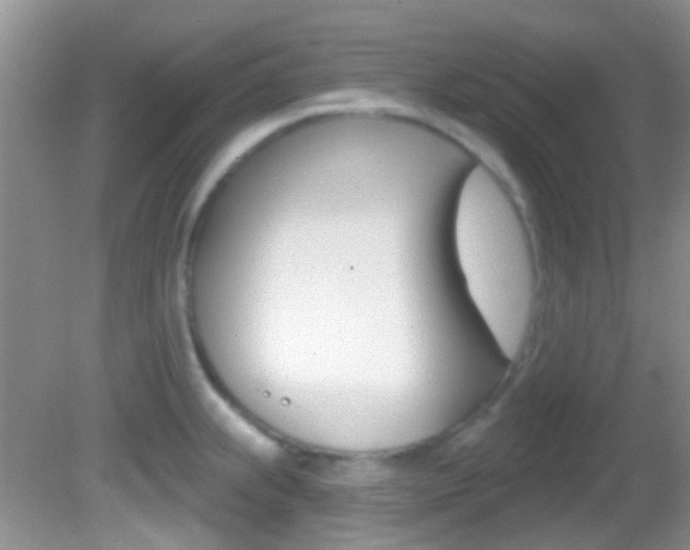 X0000082731239200701261047