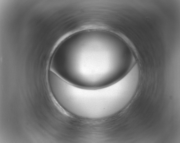 X0000082731246200701261047