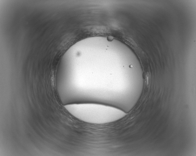 X0000082731251200701261047