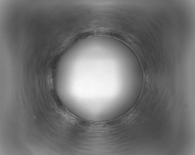 X0000082731252200701261047