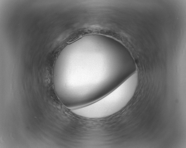 X0000082731253200701261047