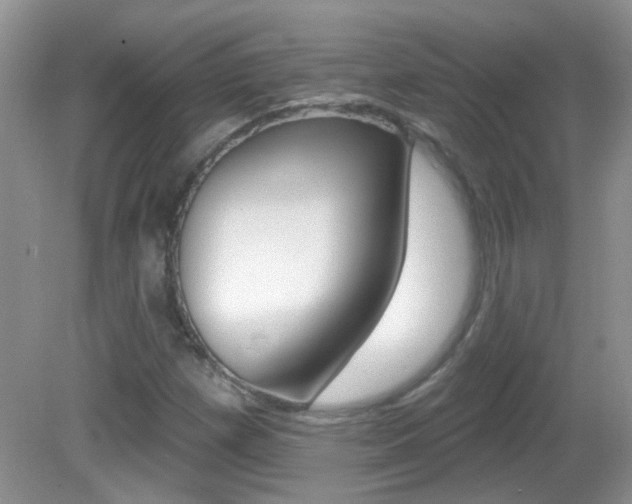 X0000082731257200701261046