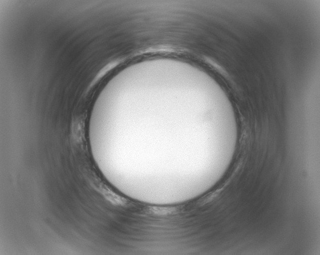 X0000082731258200701261046