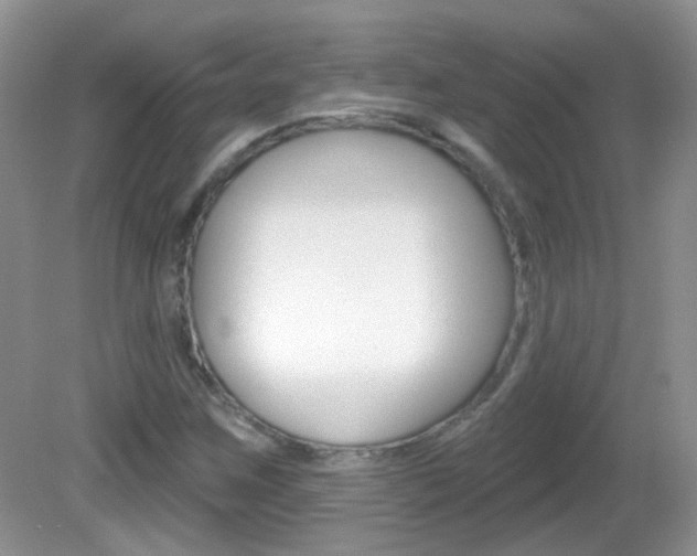 X0000082731259200701261046