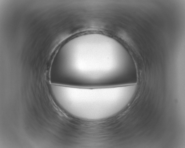X0000082731260200701261046