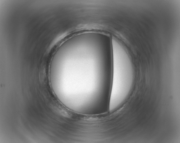 X0000082731261200701261046