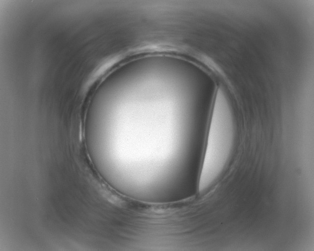 X0000082731269200701261046