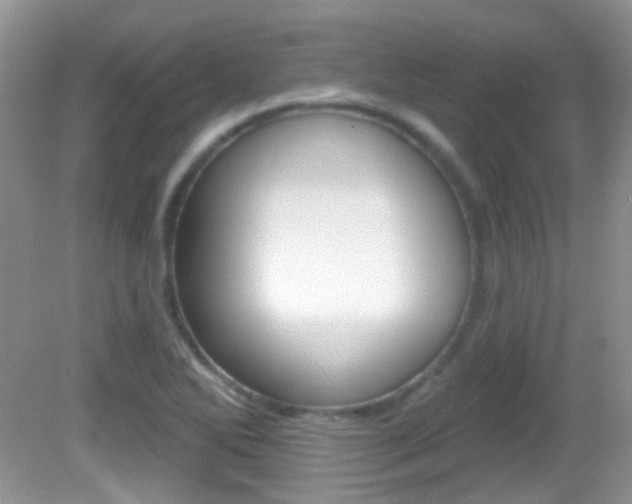 X0000082731270200701261046