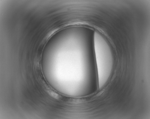 X0000082731273200701261046