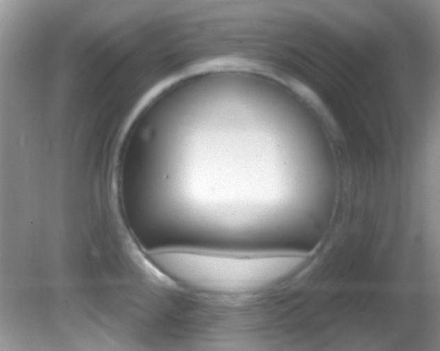 X0000082731288200701261046
