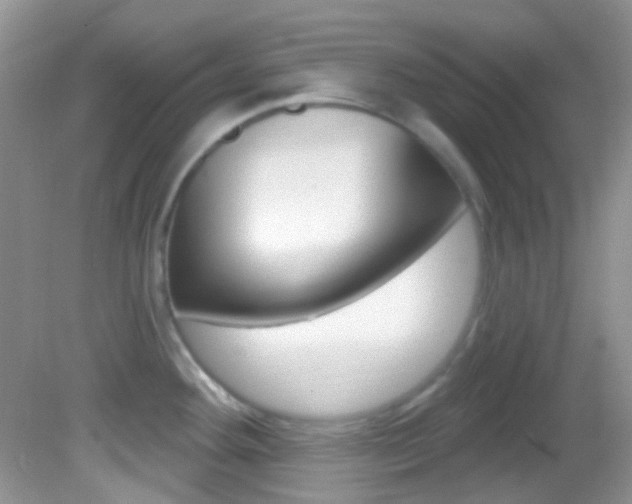 X0000082731292200701261046