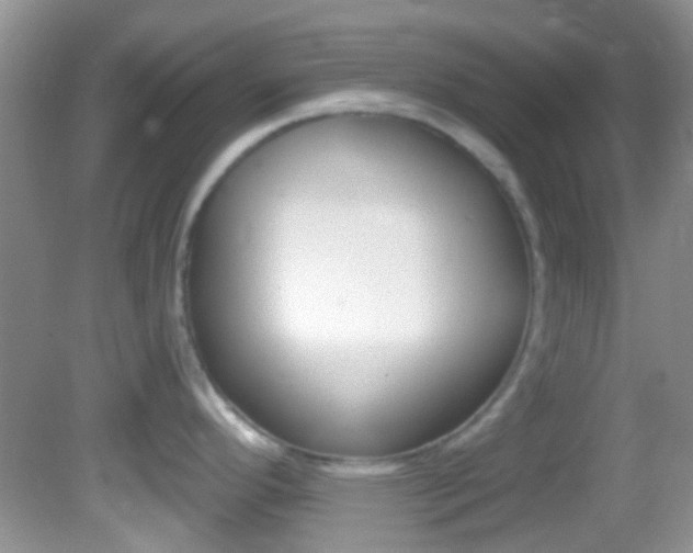 X0000082731296200701261046
