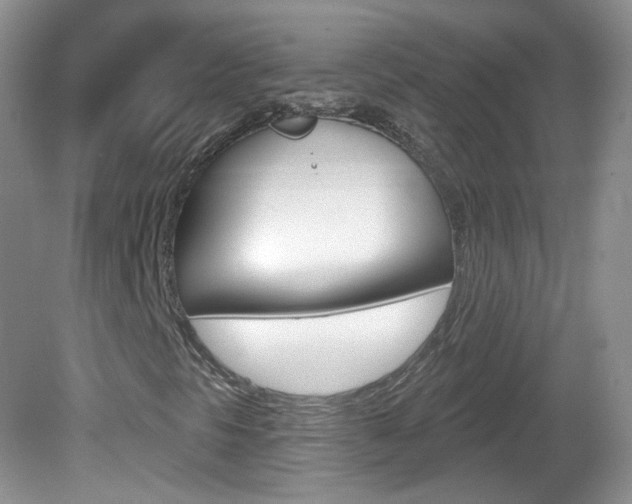 X0000082731297200701261045