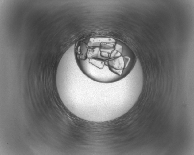 X0000082731298200701261045