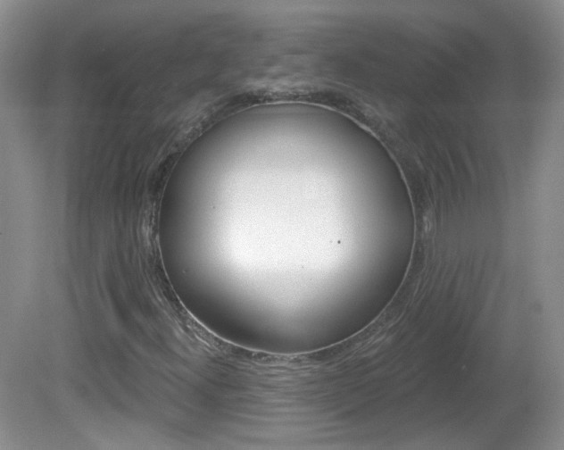 X0000082731300200701261045
