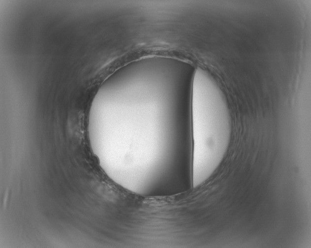 X0000082731301200701261045