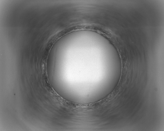 X0000082731302200701261045