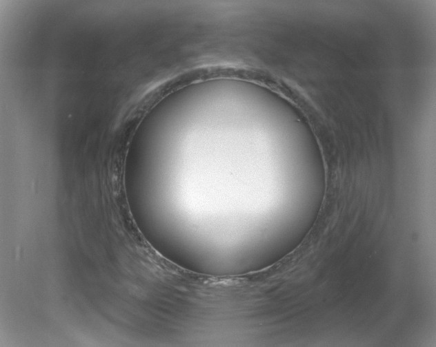 X0000082731303200701261045
