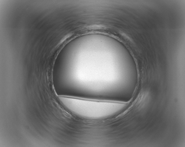 X0000082731305200701261045