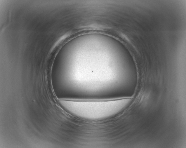 X0000082731307200701261045